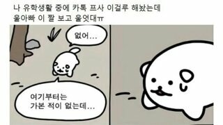 울아빠 이 짤 보고 울엇대ㅠ