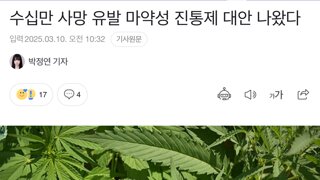 수십만 사망 유발 마약성 진통제 대안 20년만에 나왔다