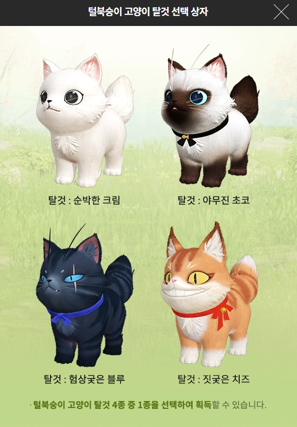 로스트아크 인벤 : 로아 PC방 100시간 고양이 펫이랑 탈것은 GOAT - 로스트아크 인벤 자유 게시판 로아 PC방 100시간 고양이 펫이랑... 