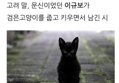 썸네일 이미지