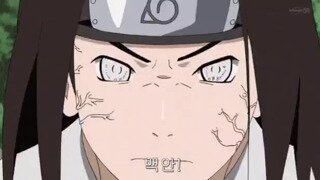 사람을 좋아하는 길고양이.mp4...