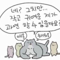 스티커 이미지