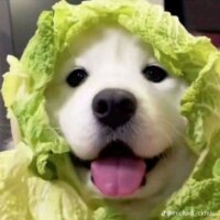 스티커 이미지