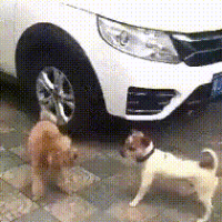 스티커 이미지