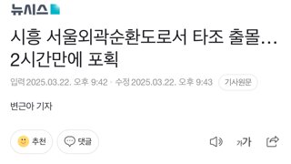 시흥 서울외곽순환도로서 타조 출몰…2시간만에 포획