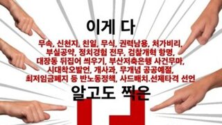 내란견들 또 시작했네