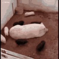 스티커 이미지