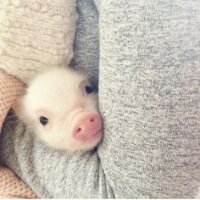 스티커 이미지