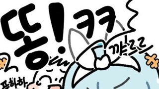 길고양이 사료 박스 쓰레기 처리한 30대 벌금형 집유