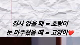 집사 있을 때와 없을 때 고양이 울음소리 차이.mp4...
