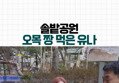썸네일 이미지