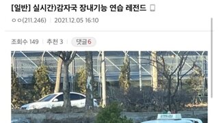 운전면허 갤러리 레전드 모음