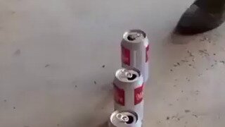 캔 밟기 묘기