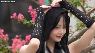 홍은채 (르세라핌)