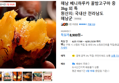 꿀고구마 3kg