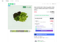 친환경 유러피안 샐러드상추 1kg 5종