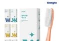 [네이버] 왕타칫솔 10개 (13,720원/무료)