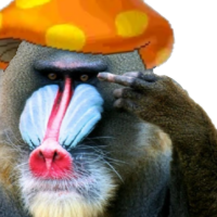 스티커 이미지