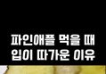 썸네일 이미지