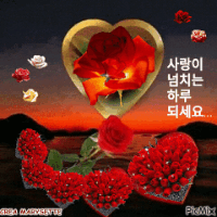 스티커 이미지
