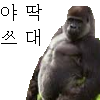 스티커 이미지