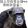 스티커 이미지