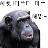스티커 이미지