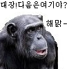 스티커 이미지