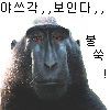 스티커 이미지