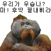 스티커 이미지