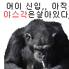 스티커 이미지