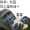 스티커 이미지