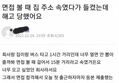 썸네일 이미지