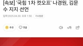 [속보] '국힘 1차 컷오프' 나경원, 김문수 지지 선언