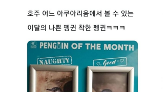 펭귄 시상식