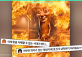 썸네일 이미지
