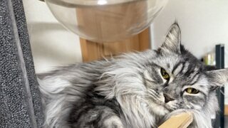 이재명이 존나 무서운가보네