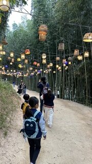 담양 현지인분 계신가요