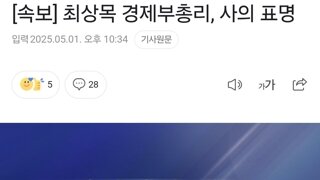 [속보] 최상목 경제부총리, 사의 표명