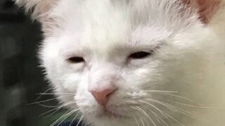 민주주의 대한 근본적인 의심이 됨....