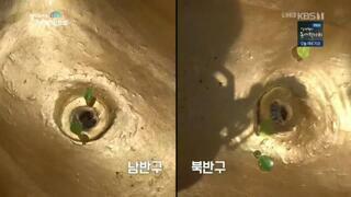 적도 한 가운데에 있으면 벌어지는 일