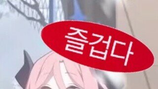 허카 근황