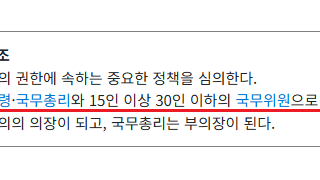 펌) 최상목 날아가면 국무위원 마비