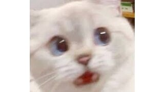 오늘하루 내가 꿈을꾸나??????