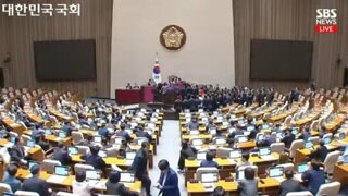 내란견들 난리남