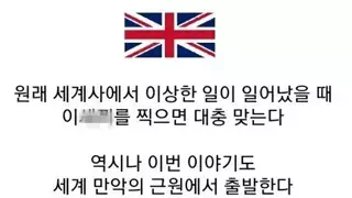 캣맘·캣대디, 길고양이 돌봄에 월수입 22% 지출