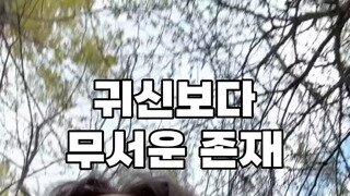 놀랬겠다