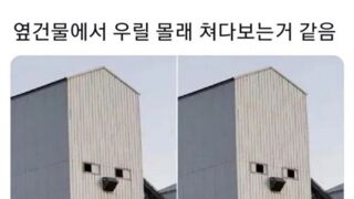 옆 건물에서 쳐다보는거 같음
