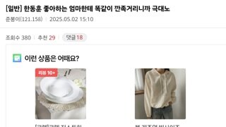 한동훈 지지하는 엄마에게 한동훈 화법하기