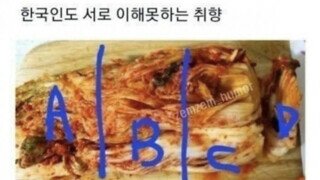한국인도 서로이해 못하는 김치 취향
